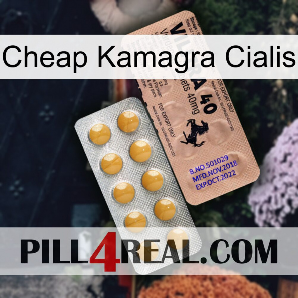Cheap Kamagra Cialis 41.jpg